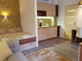 Embassy Studio Apartment Citypark